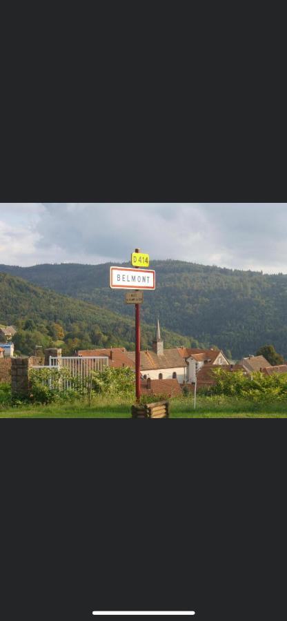 Gite De Montagne Au Pied Du Champ Du Feu Belmont  Exteriör bild