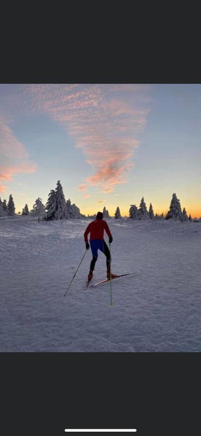 Gite De Montagne Au Pied Du Champ Du Feu Belmont  Exteriör bild
