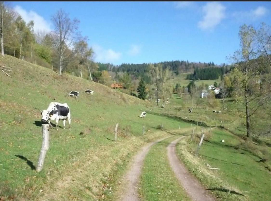 Gite De Montagne Au Pied Du Champ Du Feu Belmont  Exteriör bild